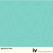 IV: American Electric Guitars - Giacomo Fiore