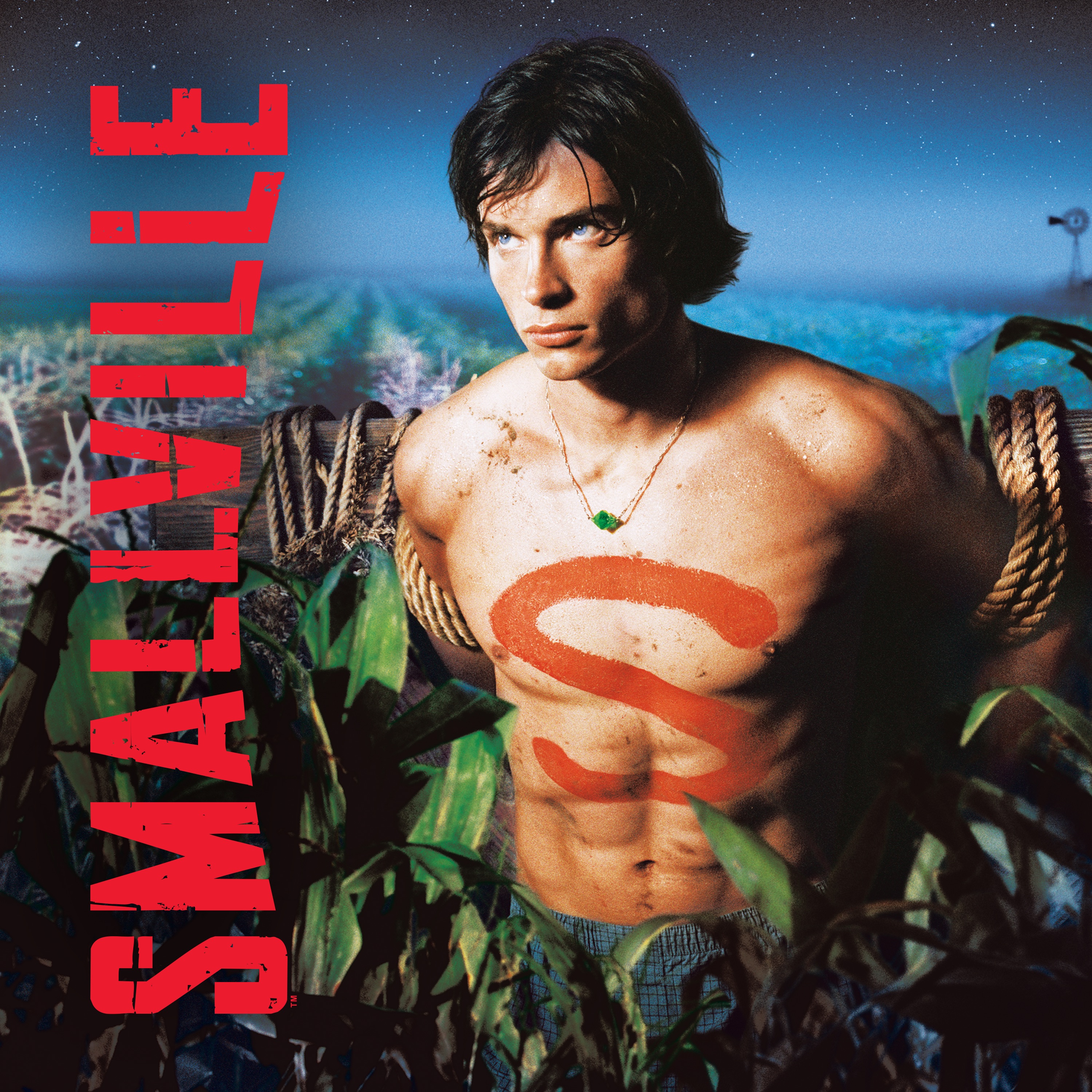 smallville season 6 torrent