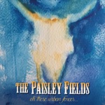 Paisley Fields - My Best Years