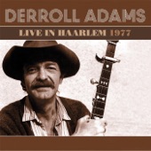 Live in Haarlem 1977 artwork