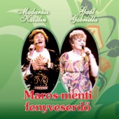 Maros-Menti Fenyveserdő artwork