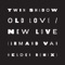 Old Love / New Love (feat. D'Angelo Lacy) [Armand Van Helden Remix] - Single