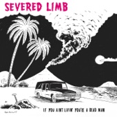 The Severed Limb - Tidy is a Vulture