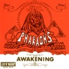 Awakening