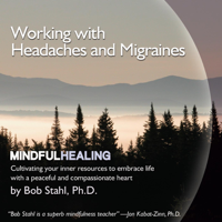Bob Stahl - Working With Headaches and Migraines artwork
