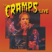 The Cramps - Caveman (Live in Belgium 8/07/2006)