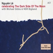 Celebrating the Dark Side of the Moon (with NDR Bigband & Michael Gibbs) [feat. Youn Sun Nah] artwork