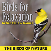 The Birds of Nature - Birds for Relaxation-70 Bird Calls in Nature artwork