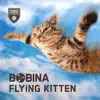 Flying Kitten song lyrics