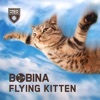 Flying Kitten - Single