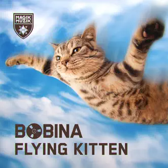 Flying Kitten by Bobina song reviws