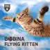 Flying Kitten song reviews