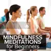 Mindfulness Meditation for Beginners album lyrics, reviews, download