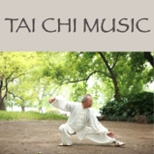 Tai Chi Music, Vol. 2 - tai chi