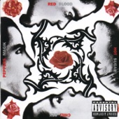 Red Hot Chili Peppers - Castles Made of Sand (Bonus Track)