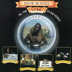 All the Woo in the World - Bernie Worrell All the Woo in the World - Bernie Worrell