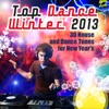 Top Dance Winter 2013 (30 House and Dance Tunes for New Year's)