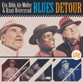Blues Detour (Live) artwork