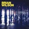 BRIAN WILSON (ft. AL JARDINE DAVID MARKS) - The right time..