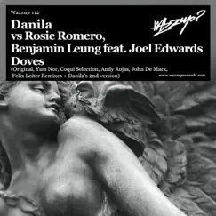 Doves (feat. Joel Edwards) [Andy Rojas Remix] Song Lyrics