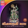 Shreenathji Ni Maya, Pt. 2 (Live)