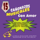 15 Canonazos Musicales Con Amor artwork