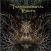 Transcendental Roots