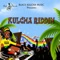 Slow Down (Kulcha Riddim) artwork