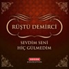 Sevdim Seni Hiç Gülmedim - Single