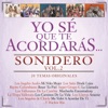 Yo Sé Que Te Acordarás Sonidero (Vol. 2 / 20 Temas Originales), 2014