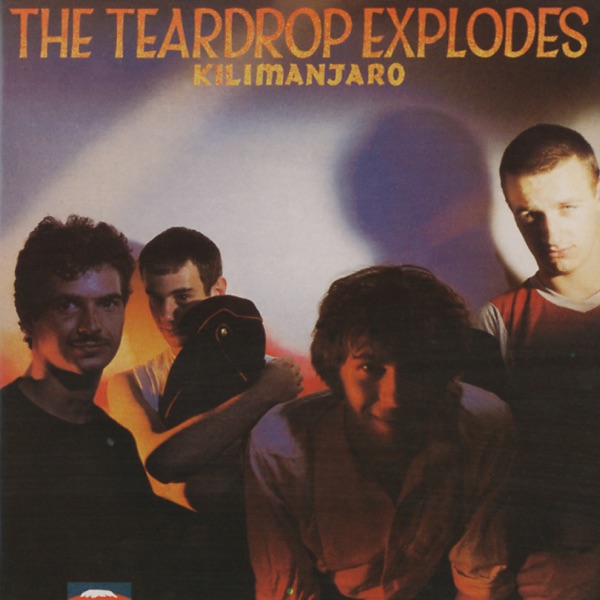 Teardrop Explodes - Reward