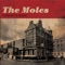 Red Carpet - The Moles lyrics