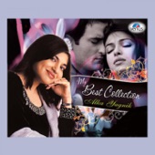 Hamen Jab Se Mohabbat (From "Border") artwork