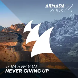 Never Giving Up by Tom Swoon song reviws