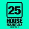 25 House Essentials 2013, Vol. 2