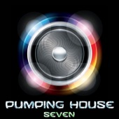 Pumping House - Seven artwork