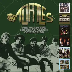 The Complete Original Albums Collection - The Turtles