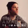 Te Imaginé - Single album lyrics, reviews, download