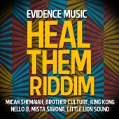 Little Lion Sound - Heal Them Riddim (Melodica Version)