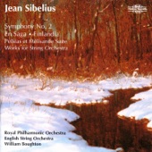 Sibelius: Orchestral Favourites, Vol. XXIII artwork
