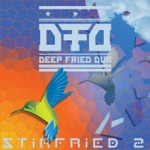Deep Fried Dub - Kryptology (feat. Dub Princess)