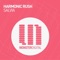 Salvia - Harmonic Rush lyrics