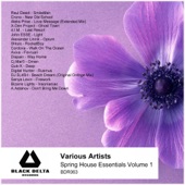 Spring House Essentials, Vol. 1 artwork