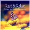 Rest & Relax: Nature Sounds for Relaxation, Pure Massage, Music for Healing Meditation, Reiki, Yoga & Deep Sleep album lyrics, reviews, download