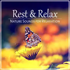Rest & Relax: Nature Sounds for Relaxation, Pure Massage, Music for Healing Meditation, Reiki, Yoga & Deep Sleep by Oasis of Relaxation album reviews, ratings, credits