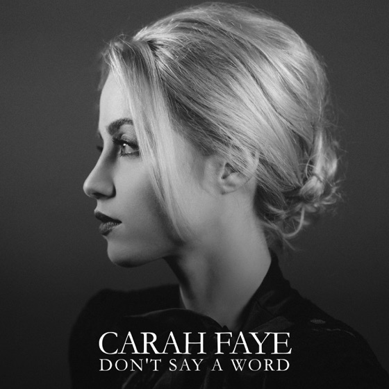 Cover artwork for Don't Say a Word