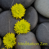 Méditation Zen – Musique douce de détente et méditation, bien-être et sophrologie, raja yoga et relaxation - Oasis de Méditation