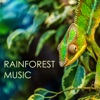 Rainforest Music - The Very Best Collection of Nature's Lullabies, Soothing Soundscapes for Deep Sleep