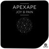 Apexape - Joy & Pain (Radio Edit)