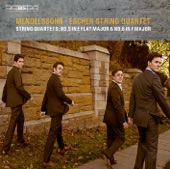String Quartet No. 6 in F Minor, Op. 80, MWV R 37: I. Allegro vivace assai artwork
